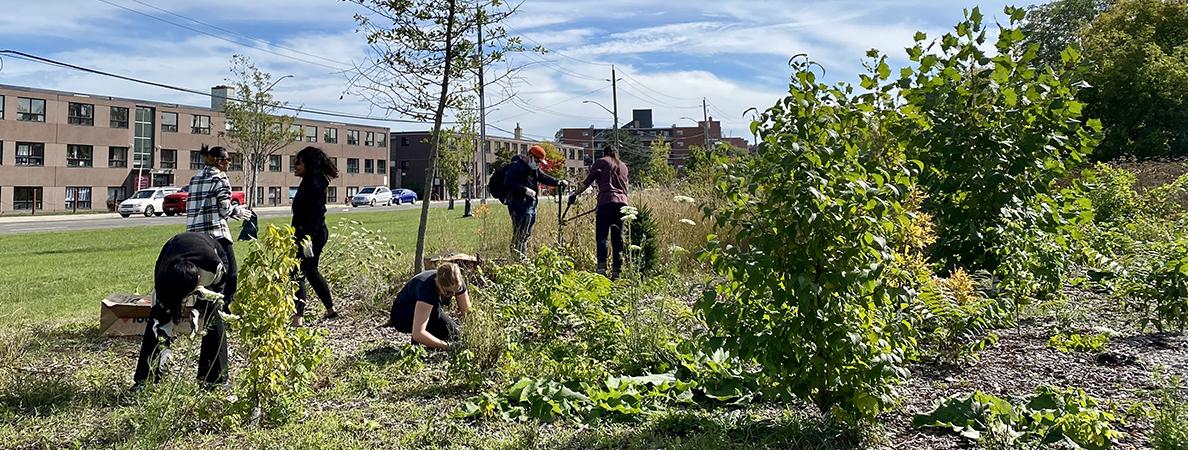 Mohawk College students gardening and tending to the outdoor area