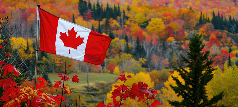 A close up of the Canadian flag in a forest.