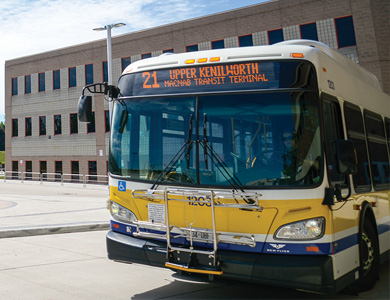 Hamilton Public Bus 