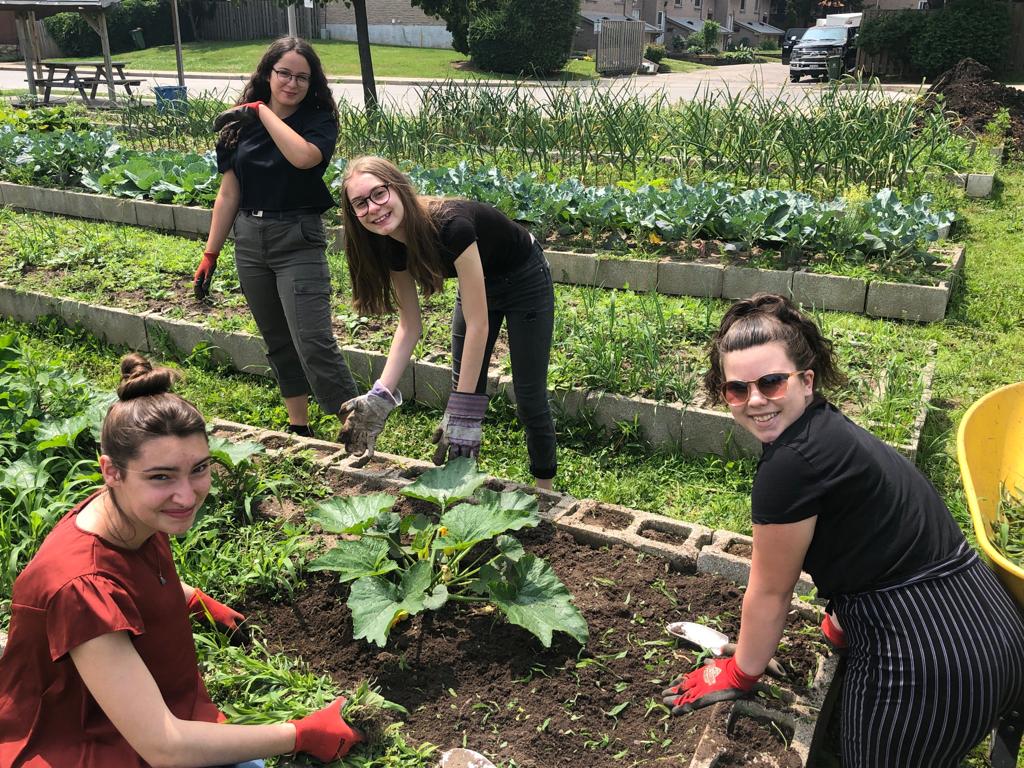 A group of Explore students gardening
