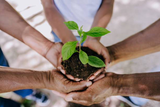 Many hands grasping a potted plant.