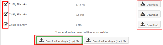 Screenshot showing the file selection checkboxes on the left, individual download buttons on the right, and the Download as Single zip button at the bottom