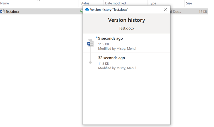 Screenshot of the version history window for the selected file