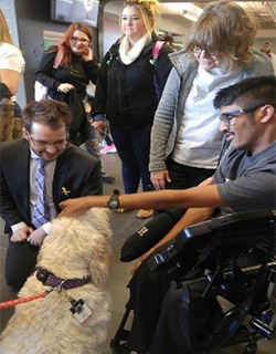 Students visiting with dog on Paws Puppy Days