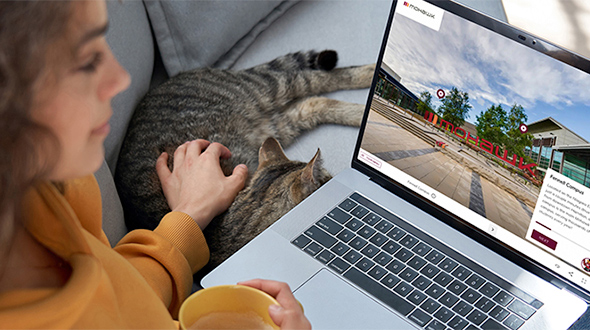 Person petting a cat and taking a Mohawk College Virtual Tour on a laptop