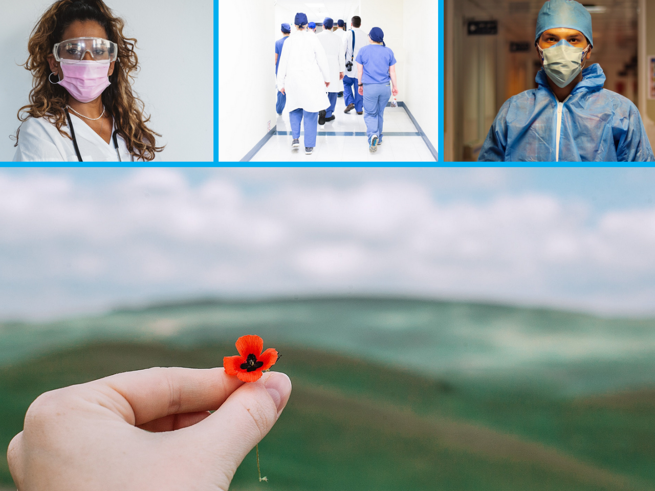 "Photo collage with images of health care workers and a poppy flower on a large field."