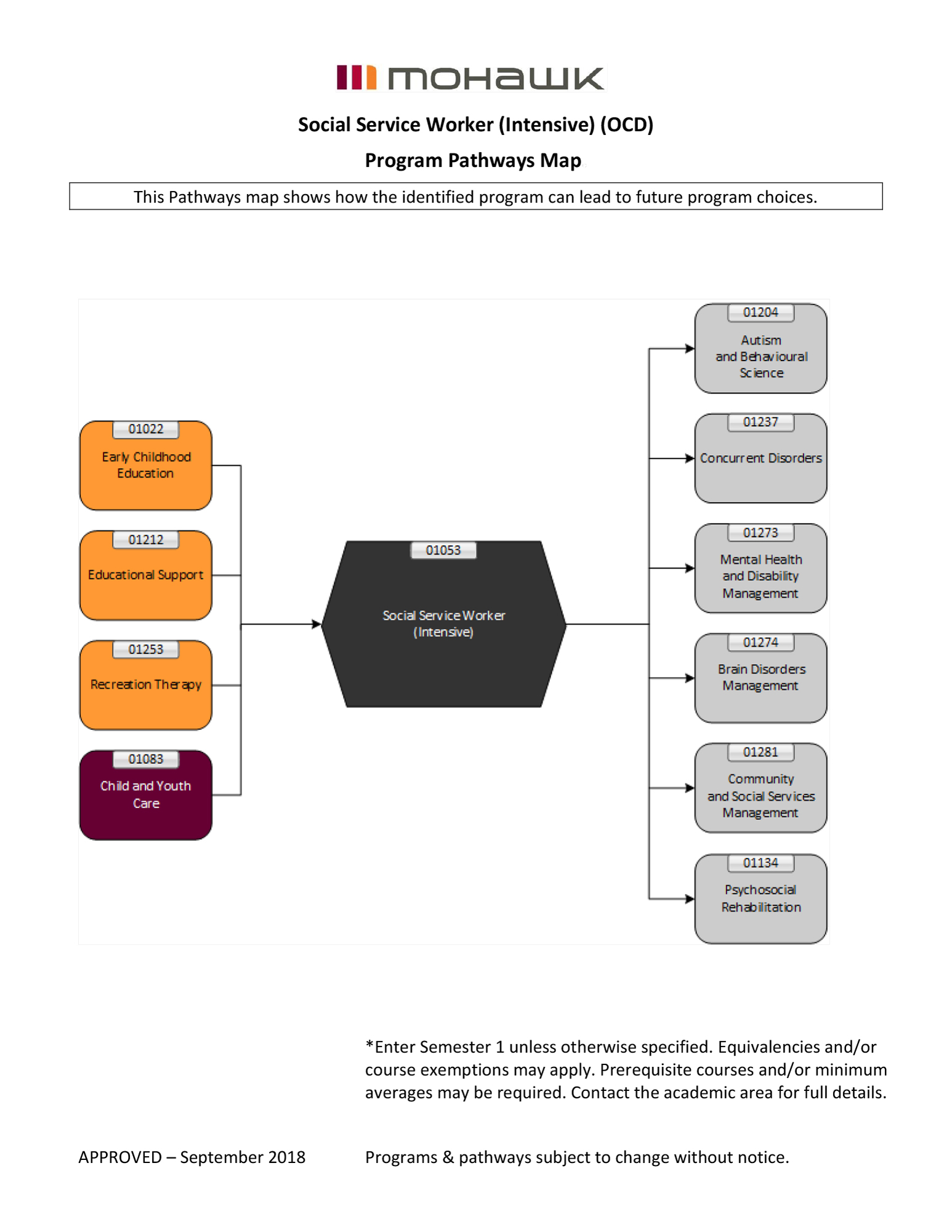 Social Service Worker Intensive pathways map