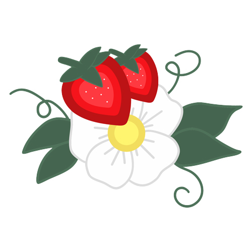 Brightly-coloured illustration of a white strawberry blossom surrounded by two green leaves on either side with two strawberries on top. 