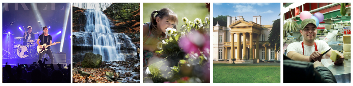 collage depicting four people and places in Hamilton