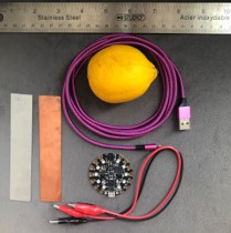 A PLC, cables, fruit, and electrodes used in this kit.