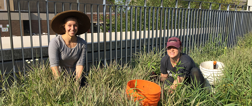 Students in pollinator garden