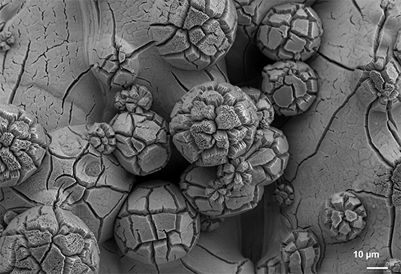 Surface topography of additively manufactured Ti-553