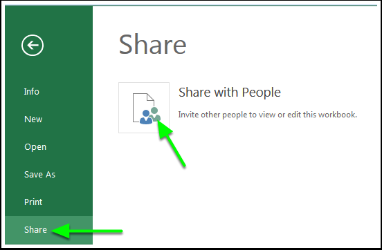 excel share