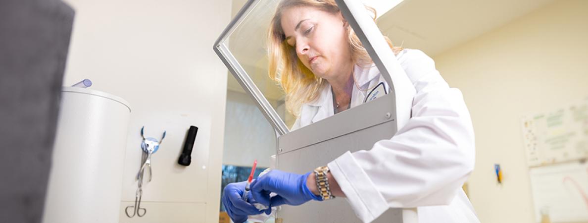 A student in a lab coat in a laboratory.