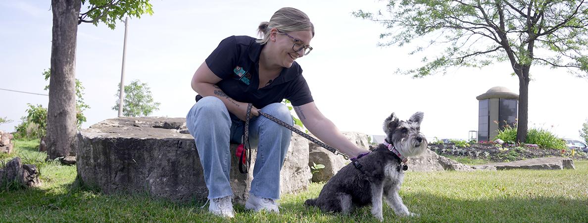 Natalie and a dog working at the SPCA