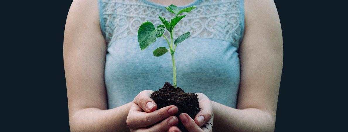 woman holding plant in her hands