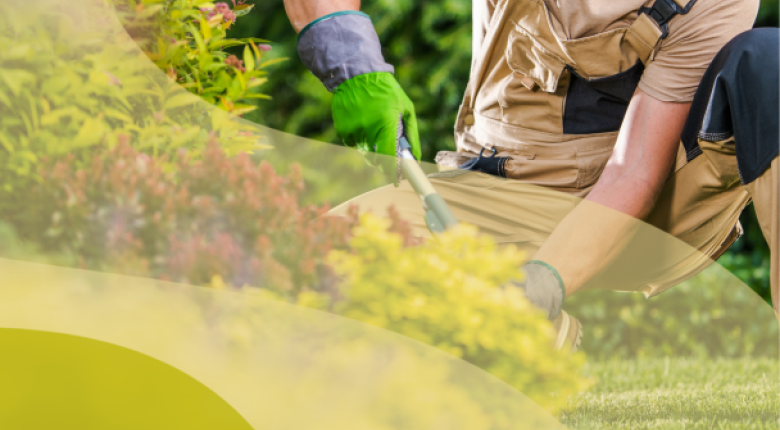 Person working in a garden