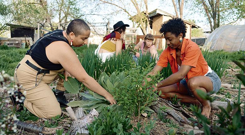 Students tending a garden.