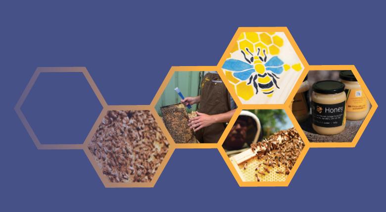 Collage of honeycomb‑shaped images showing bees on a hive frame, a beekeeper holding a hive frame, a honeybee illustration, and jars of honey, all arranged against a purple background.