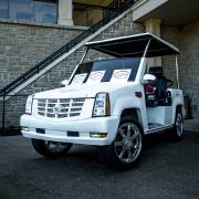 50th Anniversary Golf Cart Sponsor: Skyway Lawn Equipment Limited