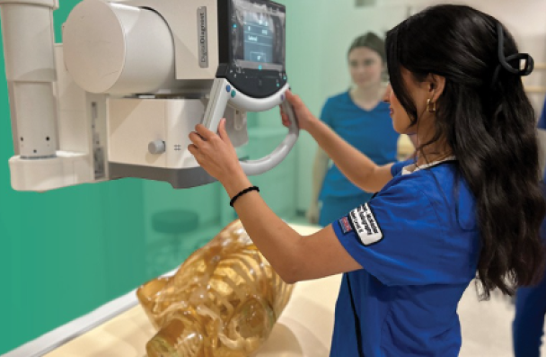 Medical Imaging Header