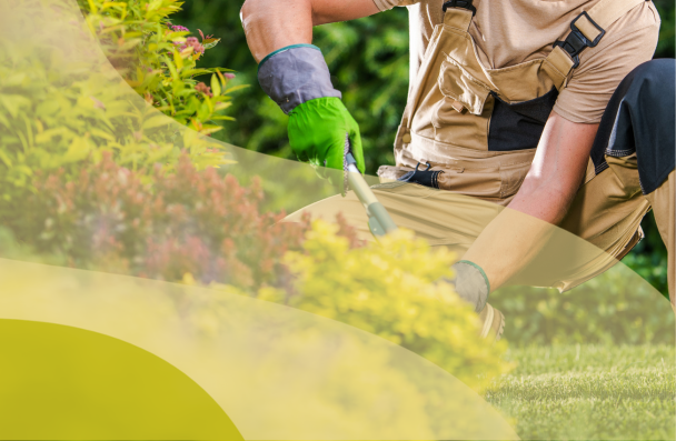 Person working in a garden