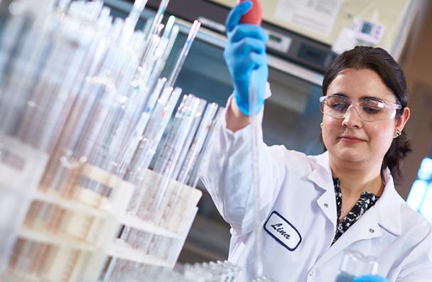 Lina working at the City of Hamilton