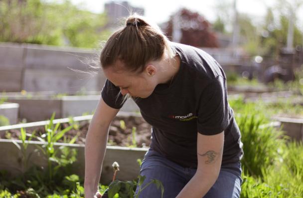 Summer student planting in the community garden. 
