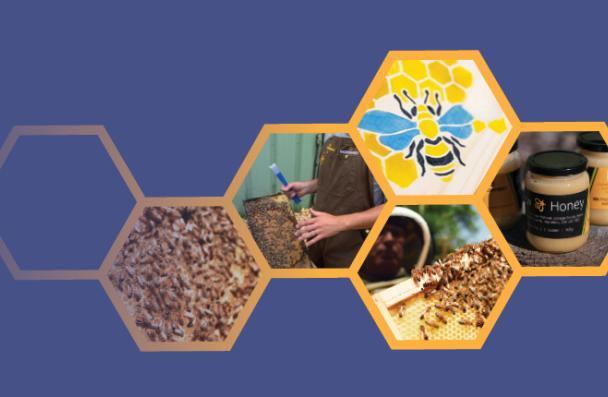 Collage of honeycomb‑shaped images showing bees on a hive frame, a beekeeper holding a hive frame, a honeybee illustration, and jars of honey, all arranged against a purple background.