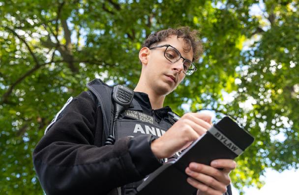 Marco on placement for Animal Control services.