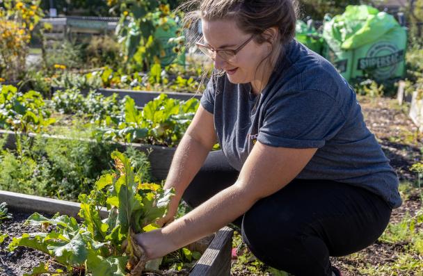 1 woman crouched in a garden pull out weeds