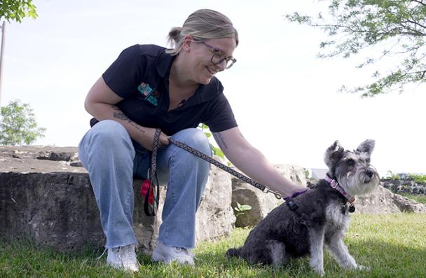 Natalie and a dog working at the SPCA