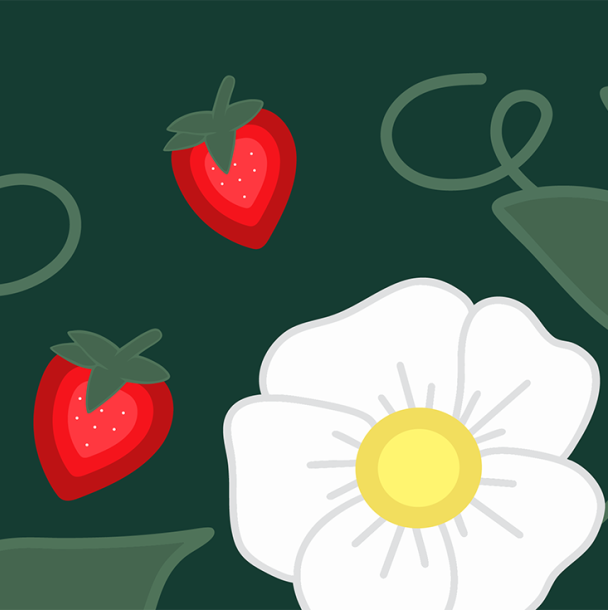 Strawberries and flowers illustration.